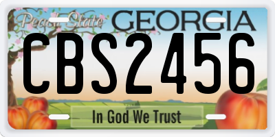 GA license plate CBS2456