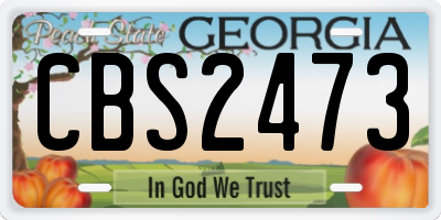 GA license plate CBS2473