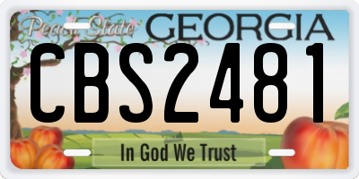 GA license plate CBS2481