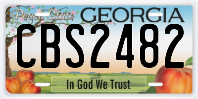 GA license plate CBS2482