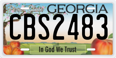 GA license plate CBS2483