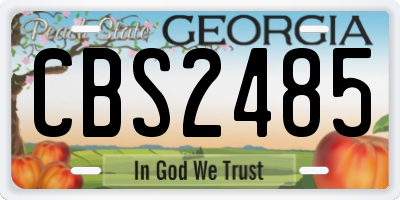 GA license plate CBS2485