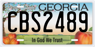 GA license plate CBS2489