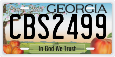 GA license plate CBS2499