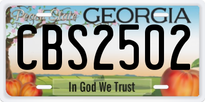 GA license plate CBS2502