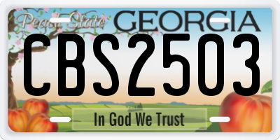 GA license plate CBS2503
