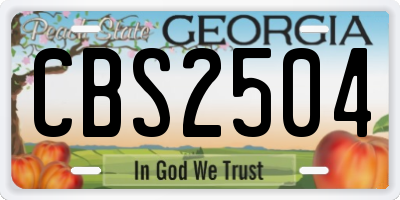 GA license plate CBS2504