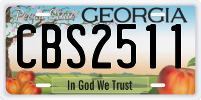 GA license plate CBS2511