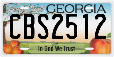 GA license plate CBS2512