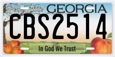 GA license plate CBS2514
