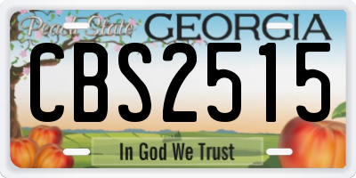 GA license plate CBS2515