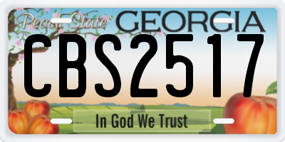 GA license plate CBS2517