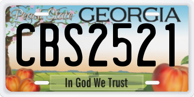 GA license plate CBS2521