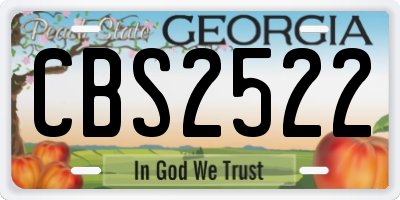 GA license plate CBS2522