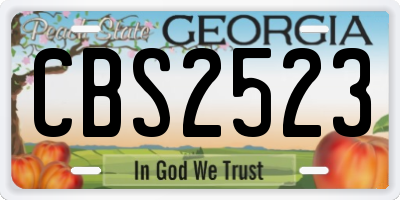 GA license plate CBS2523