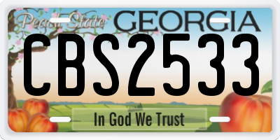 GA license plate CBS2533