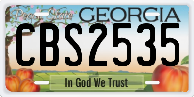 GA license plate CBS2535