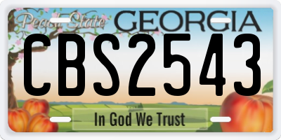 GA license plate CBS2543