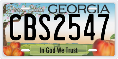 GA license plate CBS2547