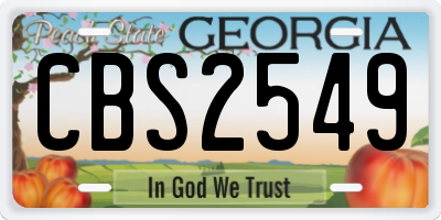GA license plate CBS2549