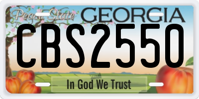 GA license plate CBS2550