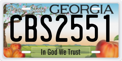 GA license plate CBS2551