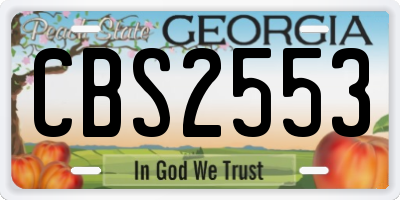 GA license plate CBS2553