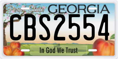 GA license plate CBS2554