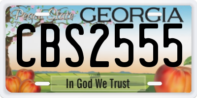 GA license plate CBS2555