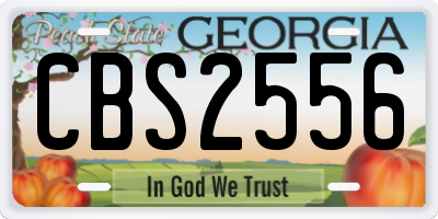 GA license plate CBS2556