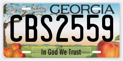 GA license plate CBS2559