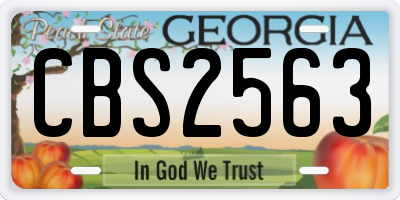 GA license plate CBS2563
