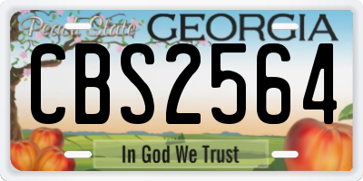 GA license plate CBS2564