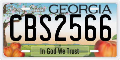 GA license plate CBS2566
