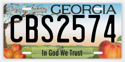 GA license plate CBS2574