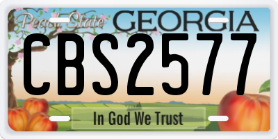 GA license plate CBS2577