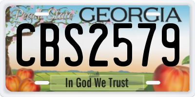 GA license plate CBS2579