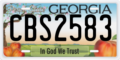 GA license plate CBS2583