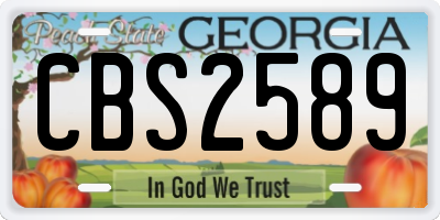 GA license plate CBS2589