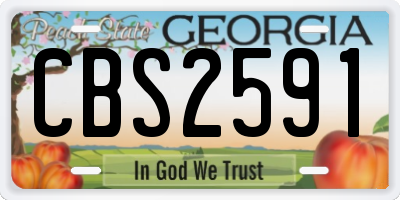 GA license plate CBS2591
