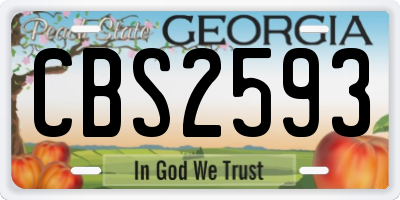 GA license plate CBS2593