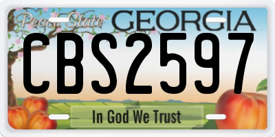 GA license plate CBS2597