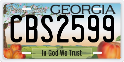 GA license plate CBS2599