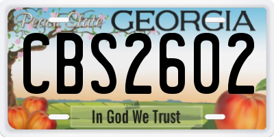 GA license plate CBS2602