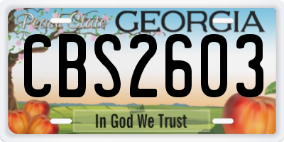 GA license plate CBS2603