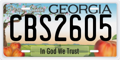 GA license plate CBS2605