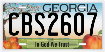 GA license plate CBS2607