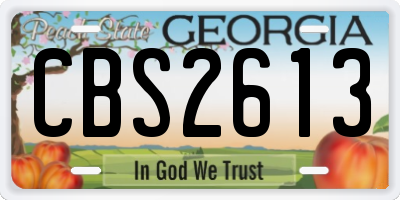 GA license plate CBS2613