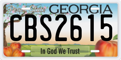 GA license plate CBS2615
