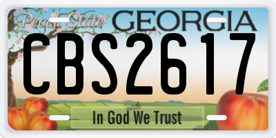 GA license plate CBS2617